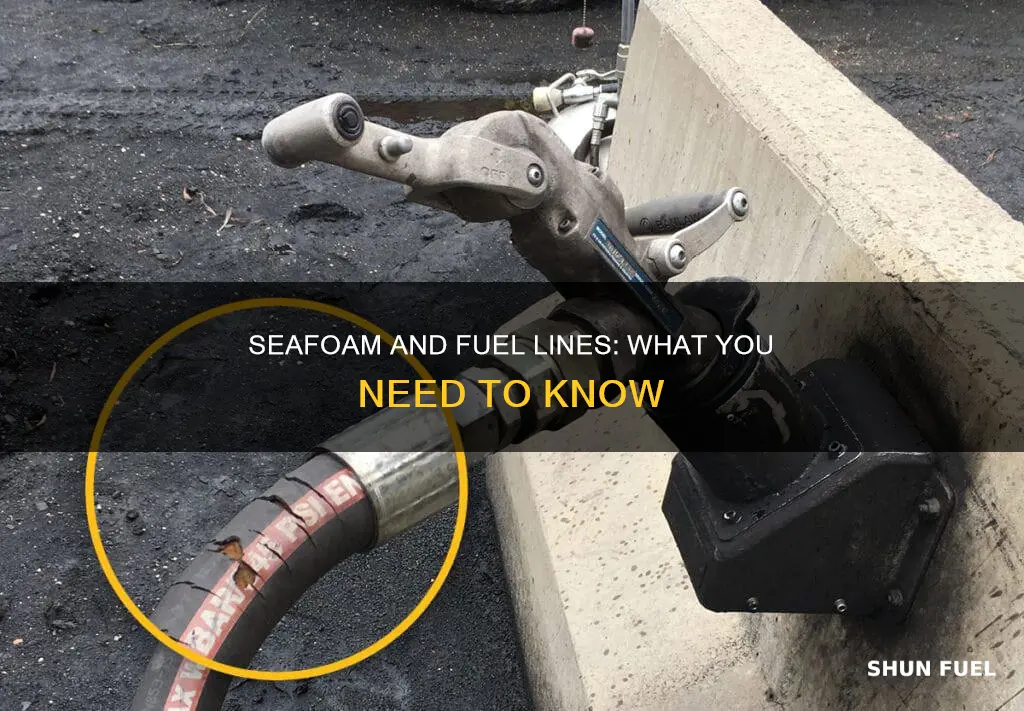 does seafoam hurt fuel lines
