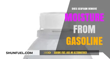 Clearing the Air: Seafoam's Role in Moisture Removal from Gasoline
