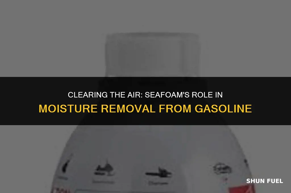 does seafoam remove moisture from gasoline