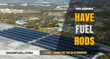 SeaWorld's Energy Sources: Fuel Rods or Alternative Power Solutions?