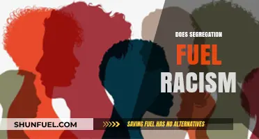 Segregation's Shadow: How Division Fuels Racial Prejudice and Inequality