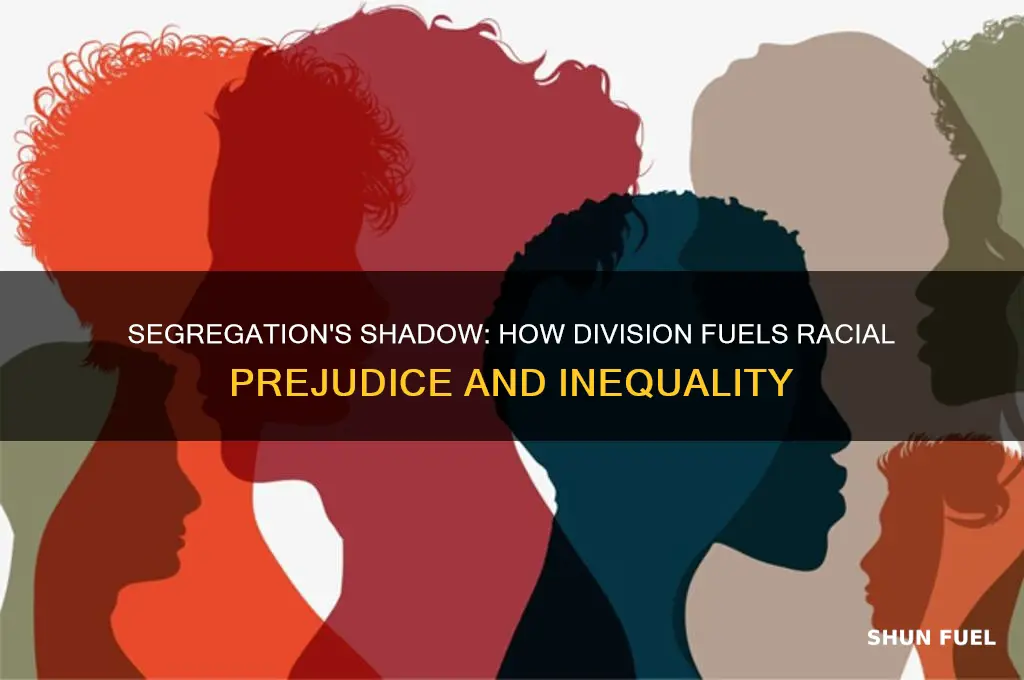does segregation fuel racism