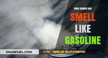 Unraveling the Mystery: Sewer Gas vs. Gasoline Scents Explained