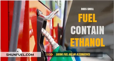 Does Shell Fuel Contain Ethanol? Uncovering the Truth for Drivers