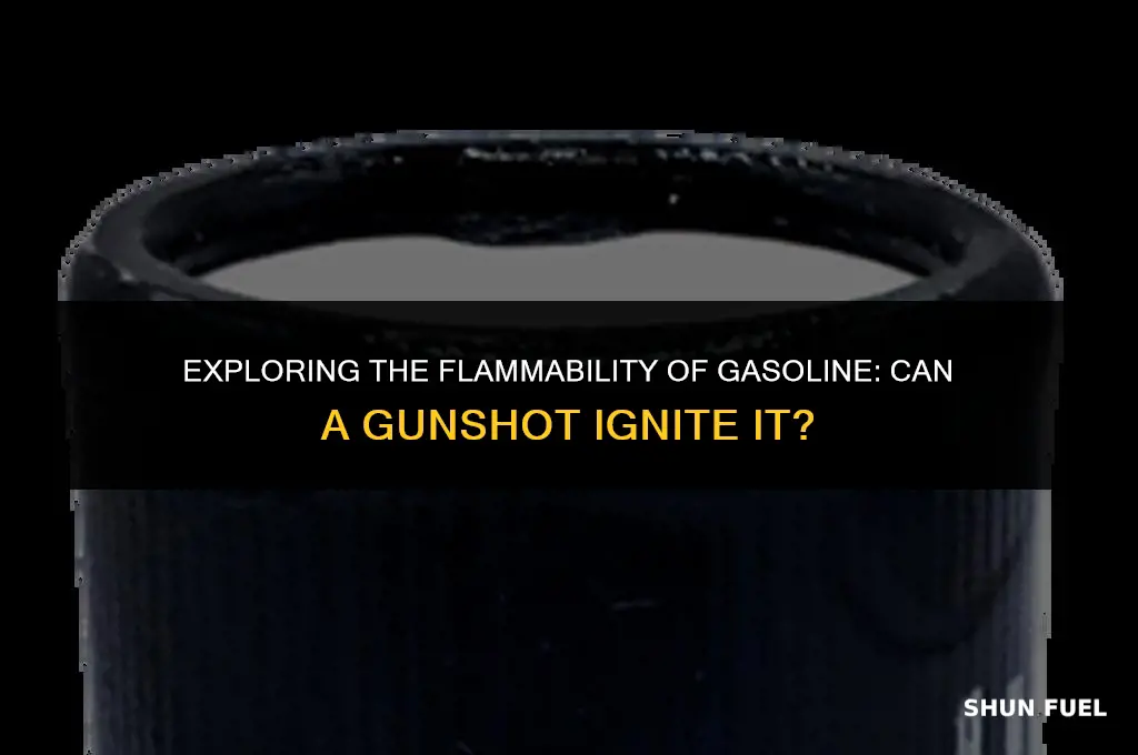 does shooting gasoline ignite it