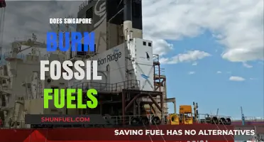 Singapore's Energy Mix: Fossil Fuels and Beyond