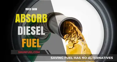 How Skin Absorbs Diesel Fuel