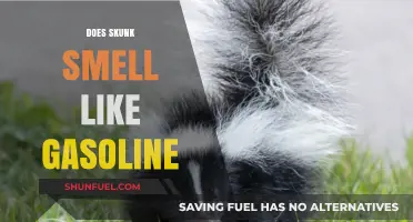 Unraveling the Myth: Skunk Spray vs. Gasoline - A Surprising Comparison