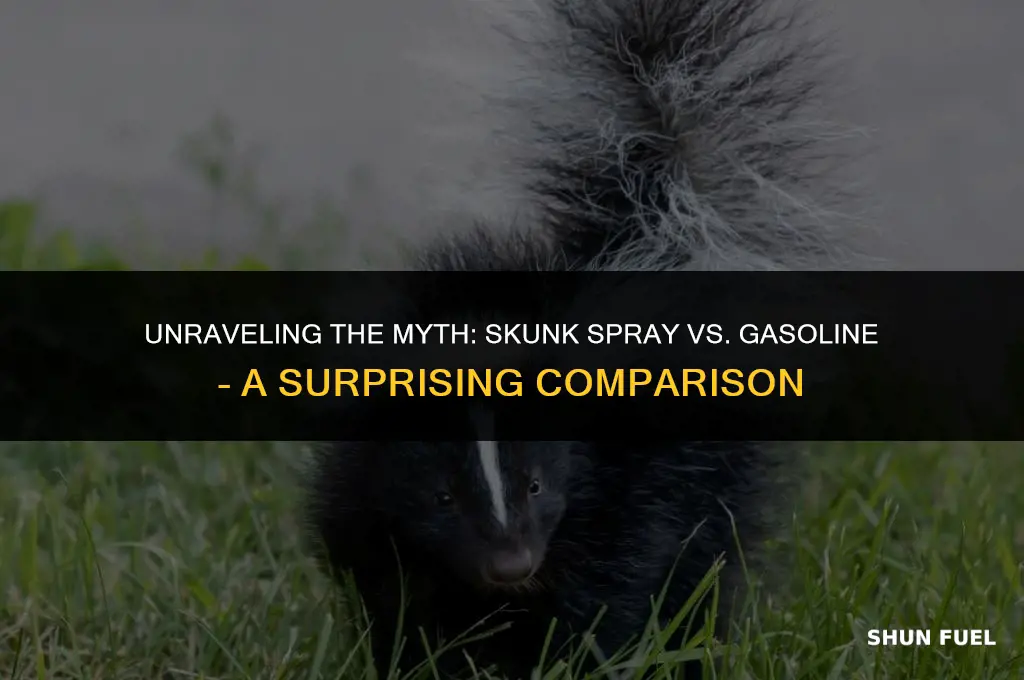 does skunk smell like gasoline