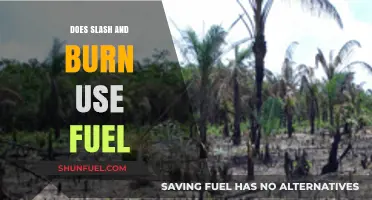 Slash and Burn Agriculture: Fuel Usage and Environmental Impacts Explained
