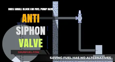 Does the Small Block GM Fuel Pump Include an Anti-Siphon Valve?