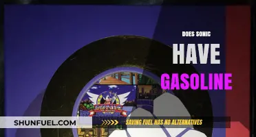 Exploring Sonic's Speed: Gasoline or Not?
