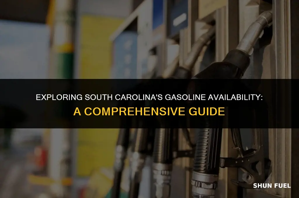 does south carolina have gasoline