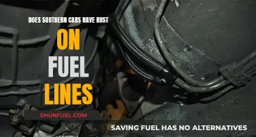 Rusty Fuel Lines: A Southern Car Conundrum?