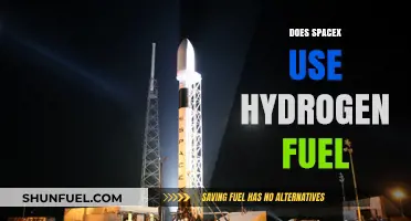 Does SpaceX Use Hydrogen Fuel? Unveiling Their Rocket Propulsion Choices