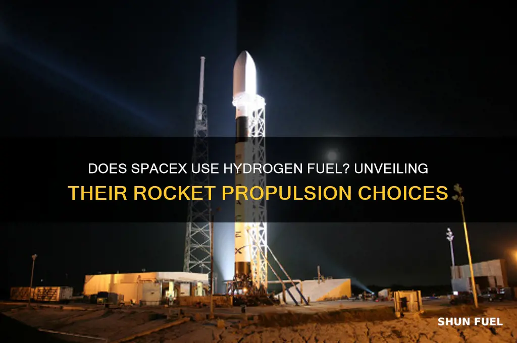 does spacex use hydrogen fuel