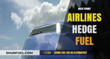 Does Spirit Airlines Hedge Fuel Costs? A Strategic Analysis