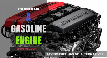 Exploring the Heart of Sprinter: Gasoline Engine or Not?