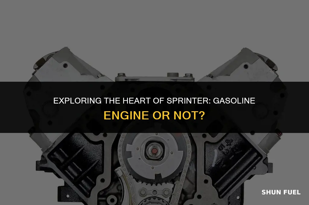 does sprinter have a gasoline engine