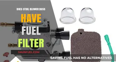 Stihl BG55 Fuel Filter: Where Is It?
