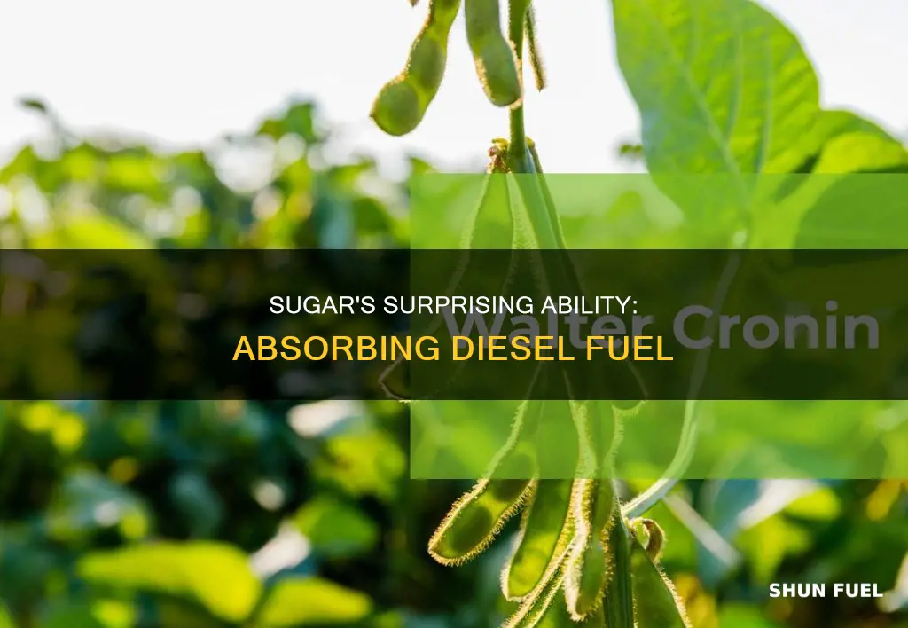 does sugar absorb diesel fuel