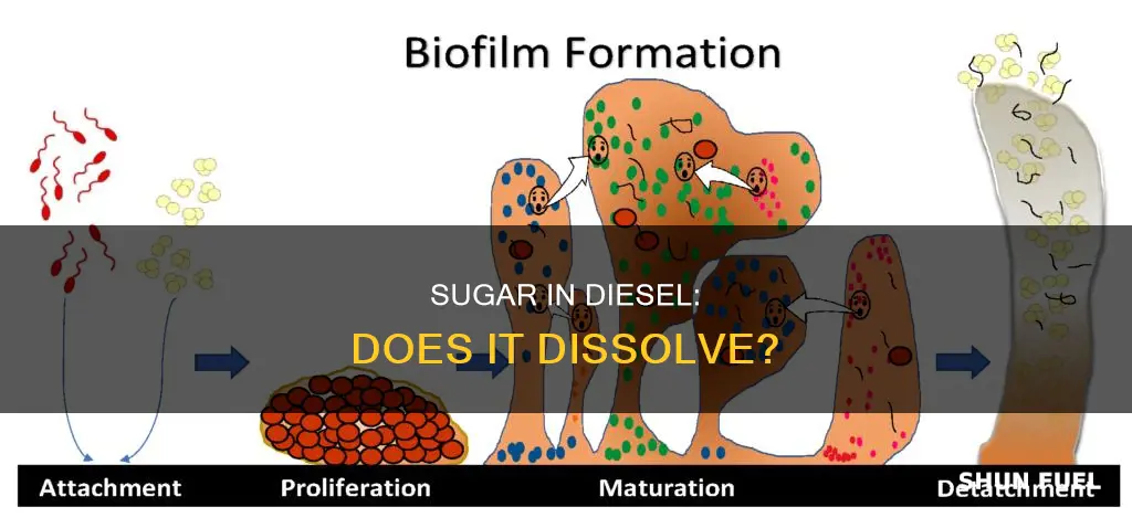 does sugar dissolve in diesel fuel