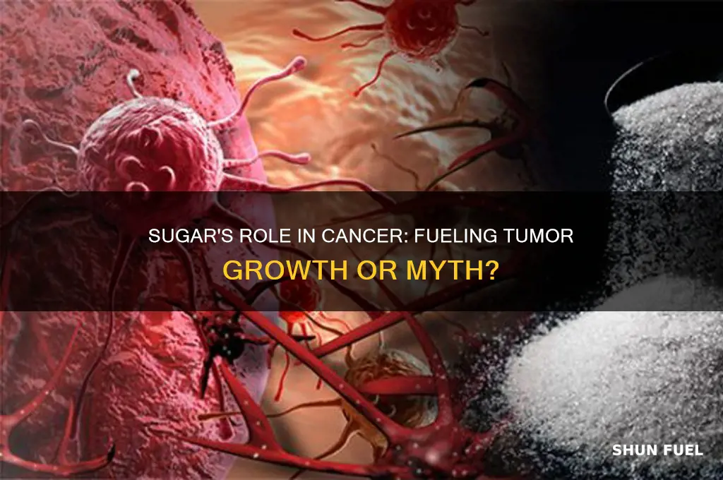 does sugar fuel cancer cells