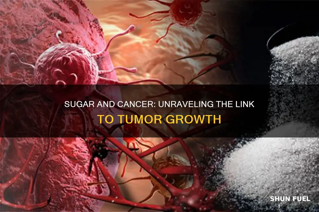 does sugar fuel cancer growth