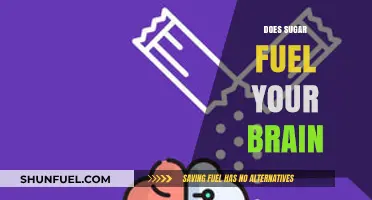 Sugar and the Brain: Fuel or Foe for Cognitive Function?