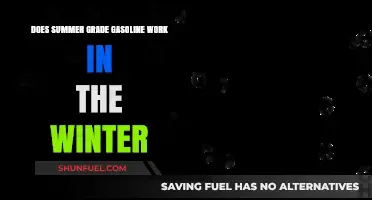 Will Summer Gasoline Keep Your Engine Running Smoothly in Winter?