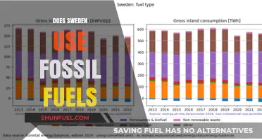Sweden's Energy Sources: Fossil Fuels or Not?