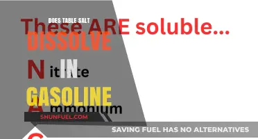 Exploring Solubility: Does Table Salt Dissolve in Gasoline?