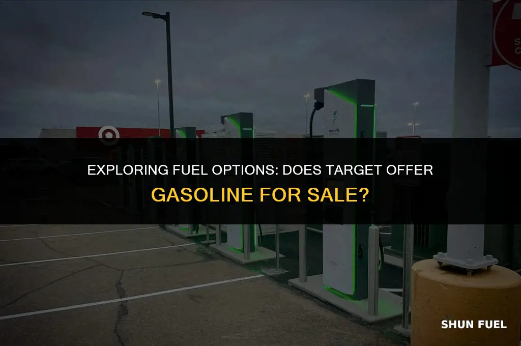 does target sell gasoline