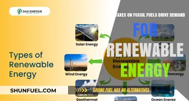Fossil Fuel Taxes: Incentivizing the Shift to Renewables