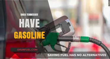 Exploring Tennessee's Gasoline Availability: A Comprehensive Guide