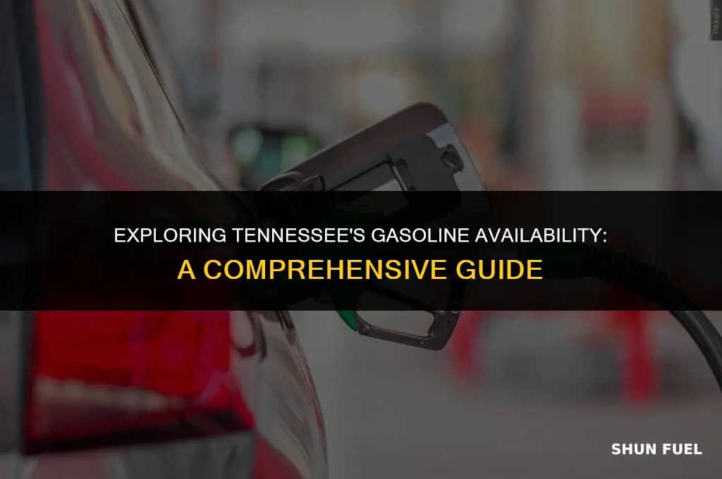 does tennessee have gasoline