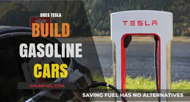 Tesla's Fuel Future: Gasoline Cars or Electric Dominance?