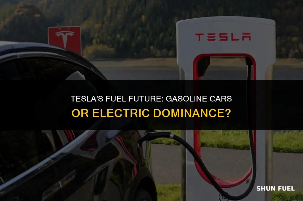 does tesla build gasoline cars