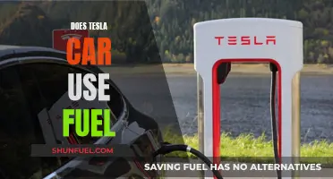 Tesla Cars: Fuel or Electric?