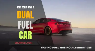 Tesla's Dual-Fuel Future: Exploring the Possibilities