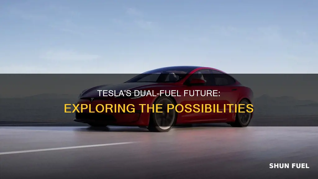 does tesla have a dual fuel car