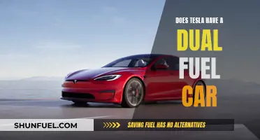 The Future of Tesla: Dual Fuel Cars?