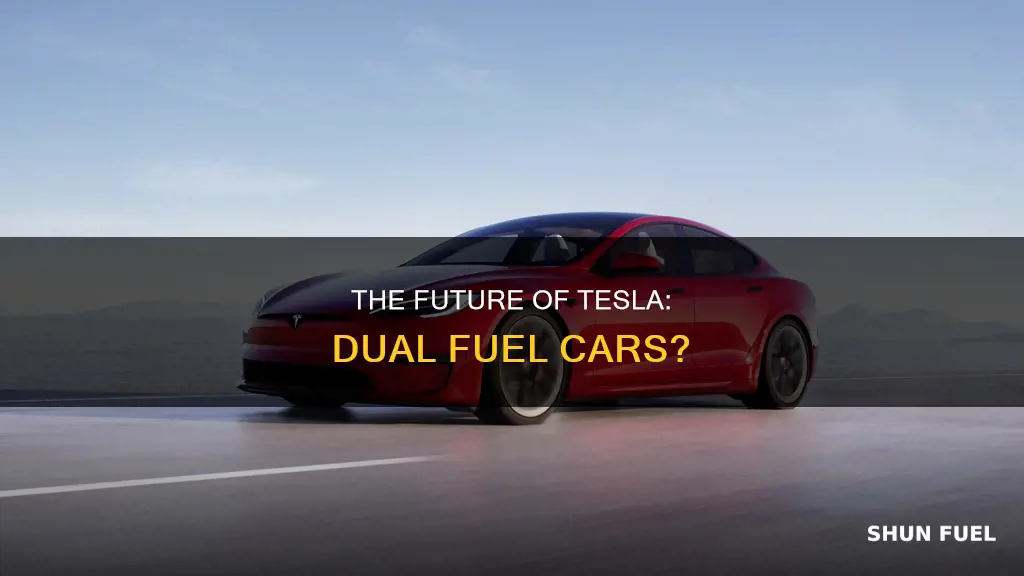 does tesla have a dual fuel car