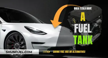 Tesla's Fuel Tank: Fact or Fiction?