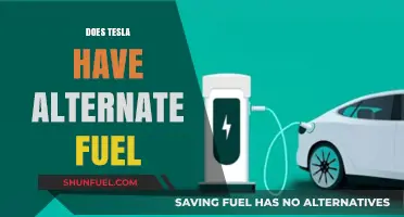 Exploring Tesla's Fuel Alternatives: Beyond Electricity for Sustainable Transportation