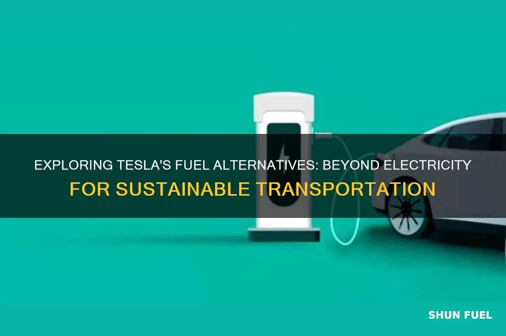 does tesla have alternate fuel