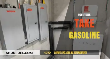 Exploring Tesla's Fuel Source: Gasoline or Electricity?