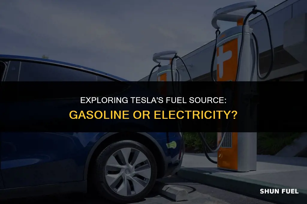 does tesla take gasoline