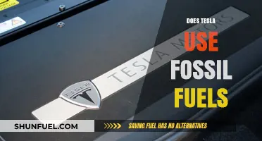 Tesla's Energy Sources: Fossil Fuels or Not?