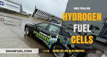 Does Tesla Use Hydrogen Fuel Cells? Exploring the Truth Behind the Myth